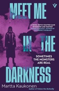Cover: Meet Me in the Darkness - Pushkin Vertigo
