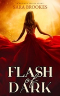 Cover: Flash of Dark (Rebirth, #2) - Sara Brookes
