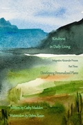 Cover: Developing Pesonalized Plans - Blurb