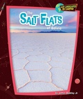 Cover: The Salt Flats of Bolivia - Bearport Publishing by Flutterbee