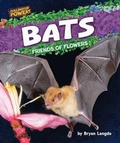 Cover: Bats - Bearport Publishing by Flutterbee