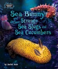 Cover: Sea Bunny and Other Strange Sea Slugs and Sea Cucumbers - Bearport Publishing by Flutterbee