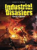 Cover: Industrial Disasters - Ursa Books