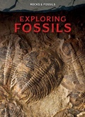 Cover: Exploring Fossils - Ursa Books