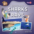 Cover: Discovering Sharks and Rays - Fusion Books
