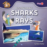 Enlarge image Cover: Discovering Sharks and Rays - Fusion Books