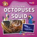 Cover: Discovering Octopuses and Squid - Fusion Books