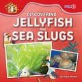 Cover: Discovering Jellyfish and Sea Slugs - Fusion Books