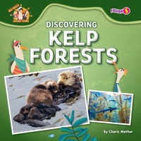 Enlarge image Cover: Discovering Kelp Forests - Fusion Books