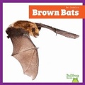 Cover: Brown Bats - Bullfrog Books