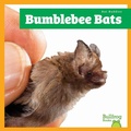 Cover: Bumblebee Bats - Bullfrog Books