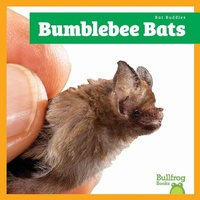 Enlarge image Cover: Bumblebee Bats - Bullfrog Books