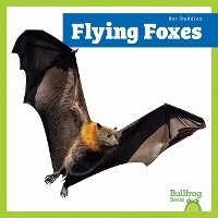 Enlarge image Cover: Flying Foxes - Bullfrog Books