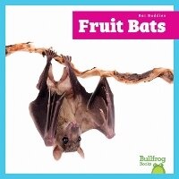 Enlarge image Cover: Fruit Bats - Bullfrog Books