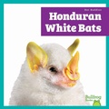 Cover: Honduran White Bats - Bullfrog Books