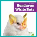 Cover: Honduran White Bats - Bullfrog Books