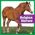 Cover: Belgian Horses - Bullfrog Books