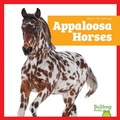 Cover: Appaloosa Horses - Bullfrog Books