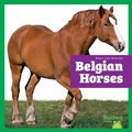 Cover: Belgian Horses - Bullfrog Books
