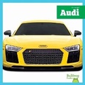 Cover: Audi - Bullfrog Books