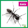 Cover: Ants - Bullfrog Books