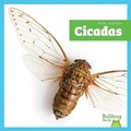 Cover: Cicadas - Bullfrog Books