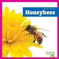 Cover: Honeybees - Bullfrog Books
