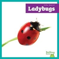 Enlarge image Cover: Ladybugs - Bullfrog Books