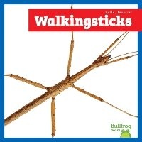 Enlarge image Cover: Walkingsticks - Bullfrog Books