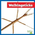 Cover: Walkingsticks - Bullfrog Books