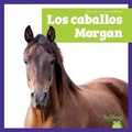 Cover: Los Caballos Morgan (Morgan Horses) - Bullfrog Books
