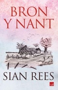 Cover: Bron y Nant - Gwasg Carreg Gwalch