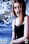 Cover: Destruida - Tektime