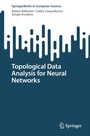 Cover: Topological Data Analysis for Neural Networks - Springer