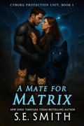 Cover: A Mate For Matrix - Montana Publishing LLC