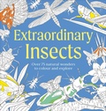 Cover: Extraordinary Insects Colouring Book - DK
