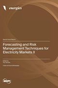 Cover: Forecasting and Risk Management Techniques for Electricity Markets II - MDPI AG