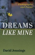 Cover: Dreams Like Mine - Resource Publications (CA)