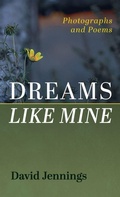 Cover: Dreams Like Mine - Resource Publications (CA)