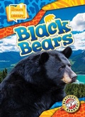 Cover: Black Bears - Blastoff! Readers Level 2