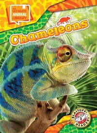 Enlarge image Cover: Chameleons - Bellwether Media