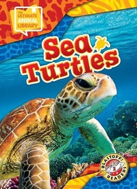 Enlarge image Cover: Sea Turtles - Bellwether Media