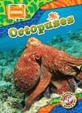 Cover: Octopuses - Bellwether Media