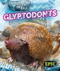 Cover: Glyptodonts - EPIC