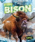 Cover: Steppe Bison - EPIC