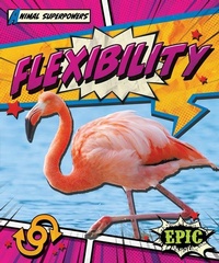 Enlarge image Cover: Flexibility - EPIC