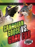 Cover: Canada Goose vs. Gray Fox - Torque