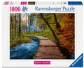 Cover: Erwachsenenpuzzle 1000 Teile - Herbstlicher Waldweg - Ravensburger