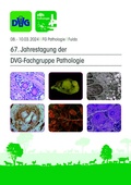 Bild: 67. Jahrestagung der DVG-Fachgruppe Pathologie 2024 - DVG Service