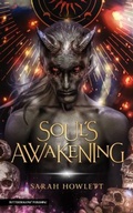 Cover: Soul's Awakening - Butterdragons Publishing